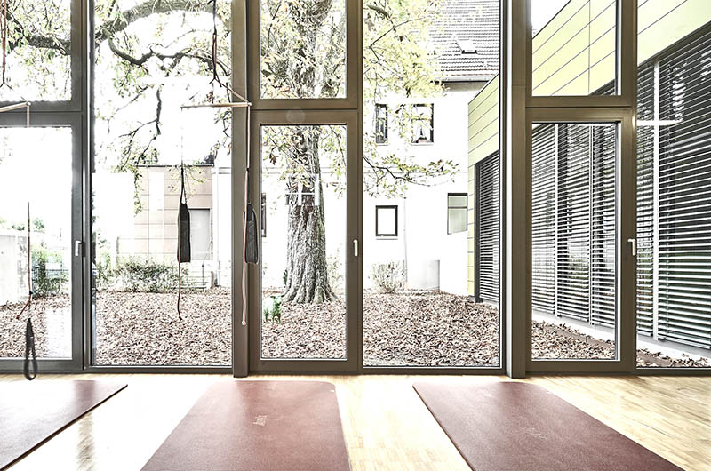 Fensterfront zum Innenhof mit Kastanienbaum